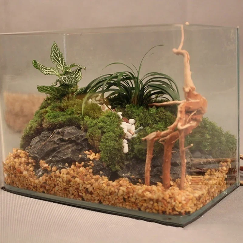 Natural Tree Trunk Driftwood A - огляд і ціна Marine Aquarium All In One