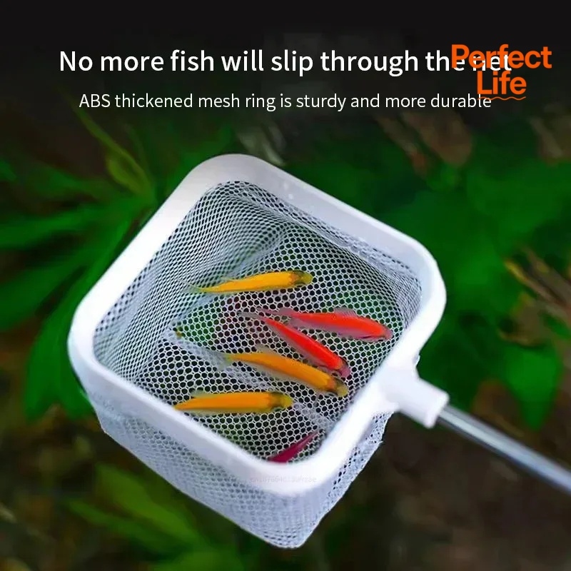1、2Pcs Stainless Steel Fishing - огляд і ціна Aquarium Marineland