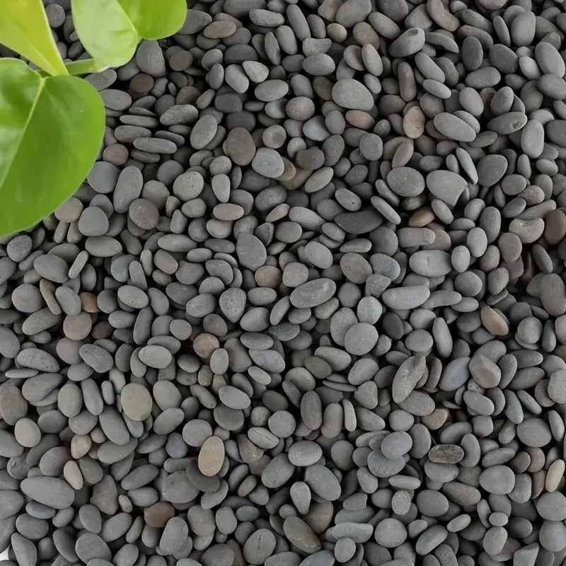 20Pcs Natural River Rocks Smoo - огляд і ціна Aquarium Marine Fish