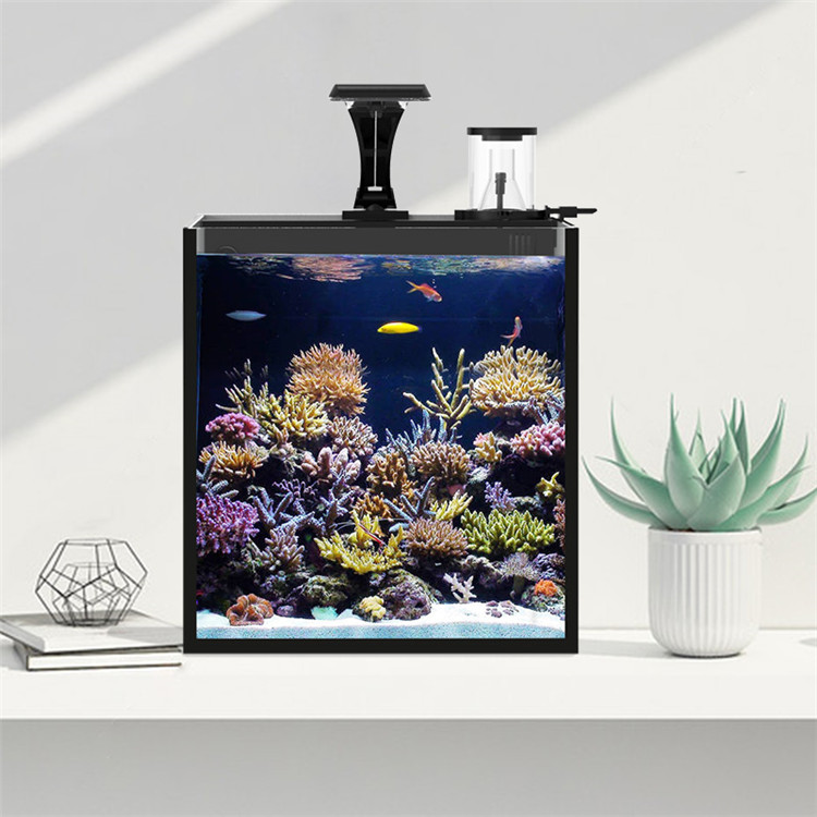 Skynuo Ultra Clear Glass Mini  - огляд і ціна Marine Aquarium Cube
