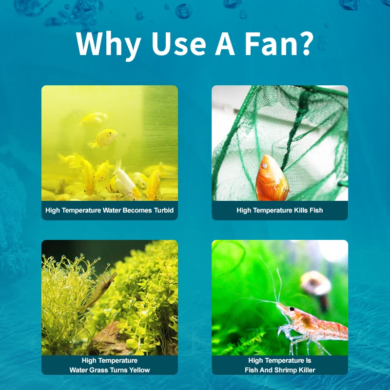 Jebao Jecod ACF Series Aquariu - огляд і ціна Marine Aquarium Uk