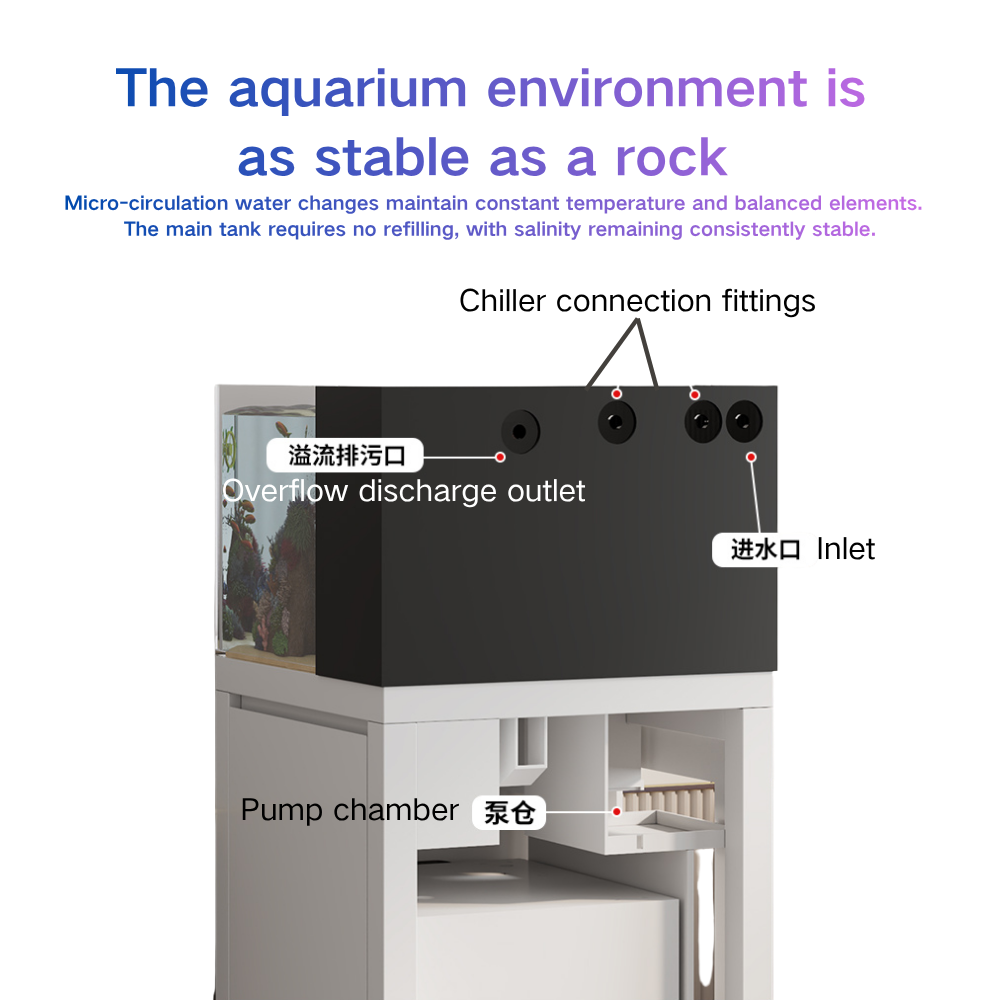 Smart Fish Tank Paopaoshark Au - огляд і ціна Marine Aquarium Cube