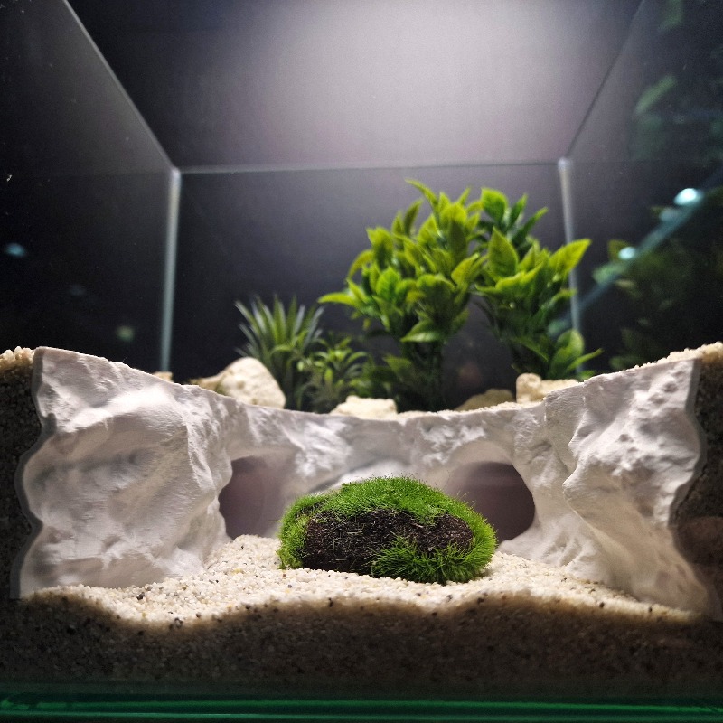 2-in-1 Water & Land Hiding Cav - огляд і ціна Aquarium Marineland
