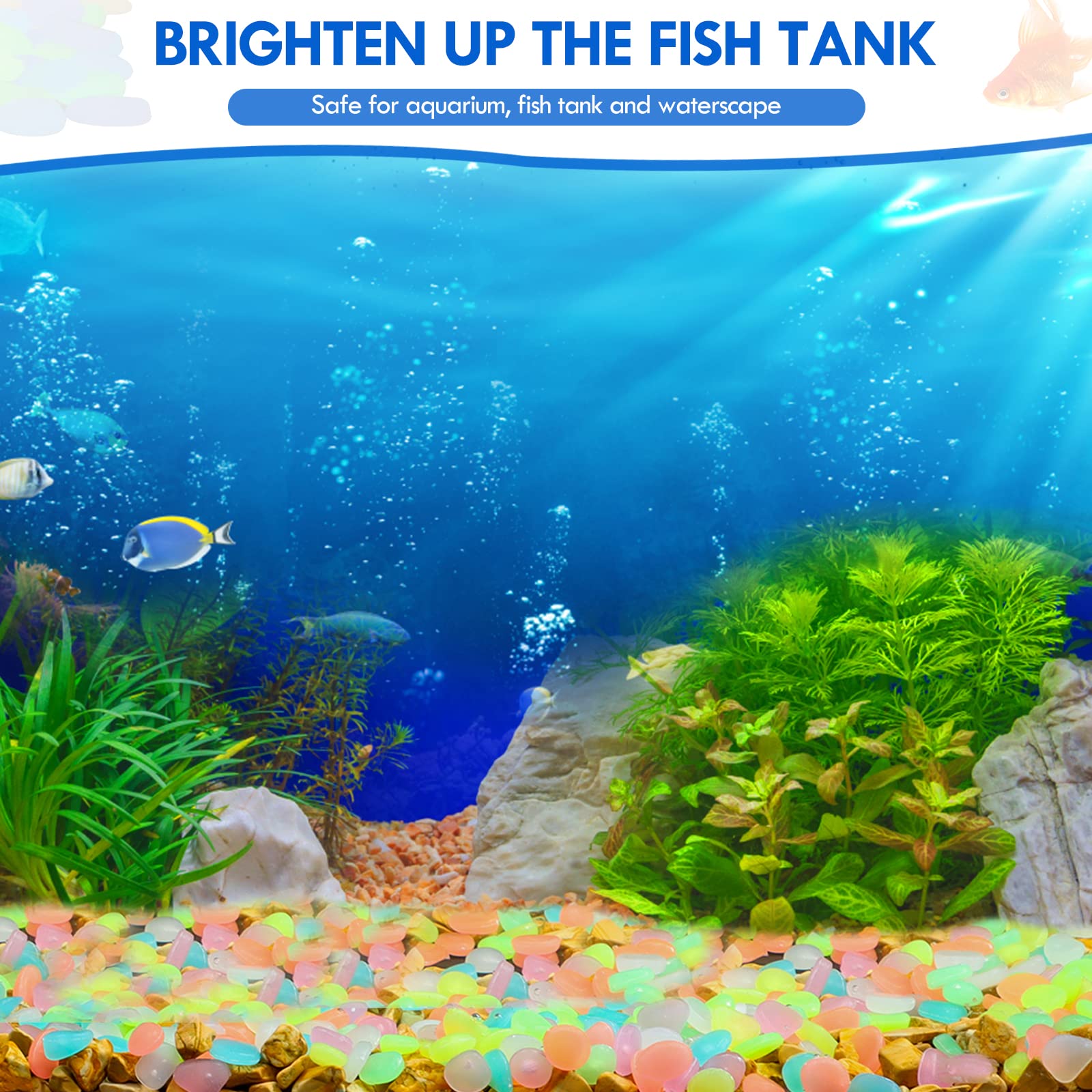 100Pcs Glow in the Dark Garden - огляд і ціна Aquarium Marine Fish