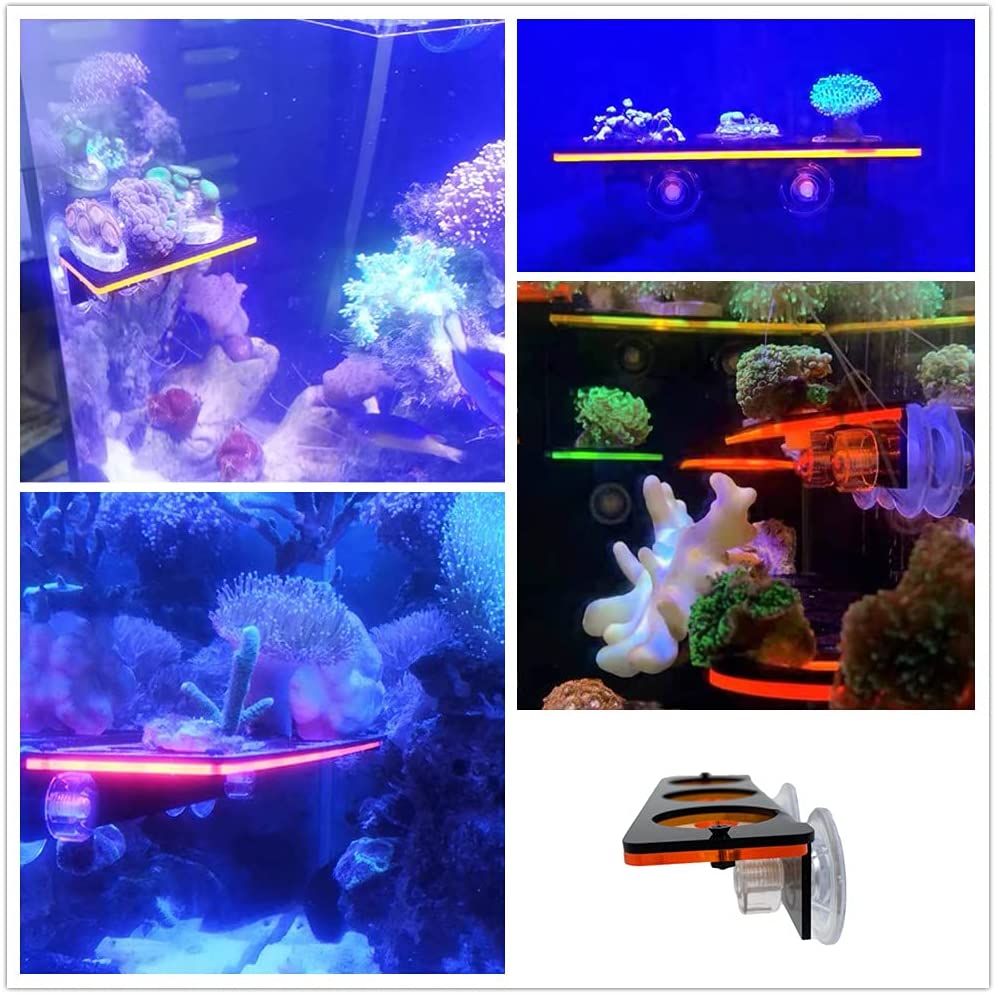 Fluorescent Coral Frag Plug Br - огляд і ціна Marine Aquarium All In One
