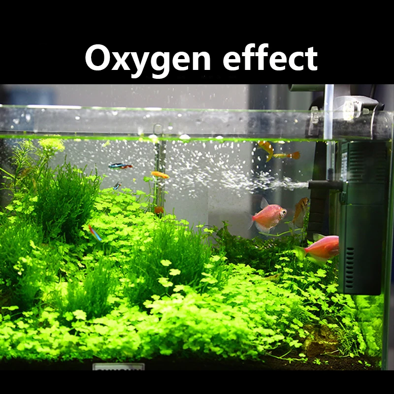 SUNSUN mini nano 111B 311B 611 - огляд і ціна Marine Aquarium Uv Sterilizer